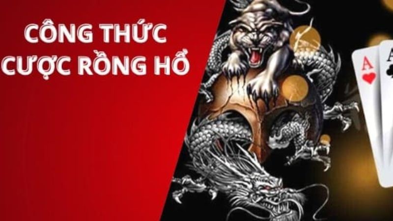 Học cách chơi Rồng Hổ sẽ giúp bạn nâng cao khả năng chiến thắng
